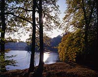 Bensberg, Bergisch Gladbach, Rheinisch-Bergischer Kreis, Blick auf Saaler Mhle, Muehle, Saaler See in Herbstlandschaft
