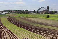 Blick auf Kohlfelder, Acker mit Landwirtschaft in Dsseldorf, Duesseldorf-Hamm mit Sicht zum Ort