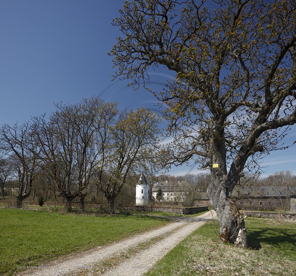 Schleiden Dreiborn, Blick ber Feldweg auf die Wasserburg Dreiborn; view over a country road to a moated castle