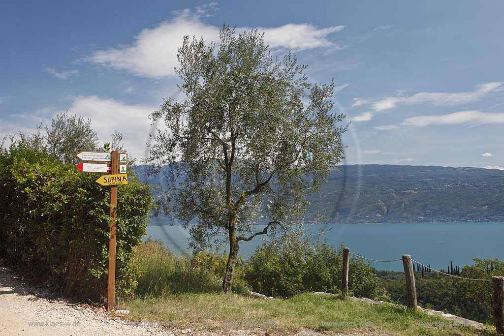 Toscolano-Maderno Gaino, Wanderweg mit Wanderwegebeschilderung und Blick zum  Gardasse; Toscolano-Maderno, hiking path, trail path with hiking sighn. View onto lake Grda in the background- 