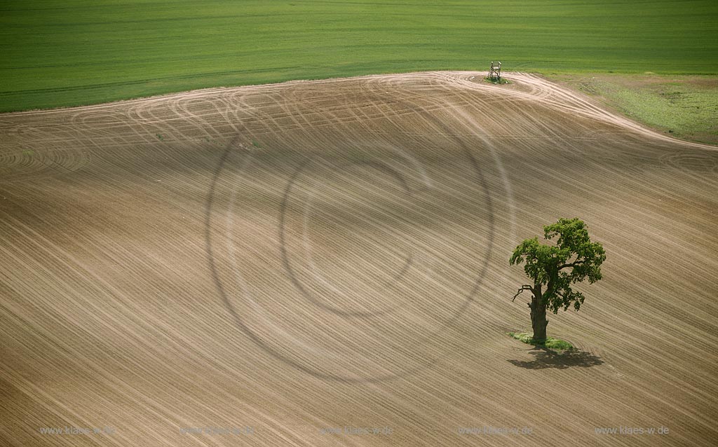 Ludorf, Luftbild, Blick auf Felder, Feldstrukturen, Baum und Wiesen; Ludorf, aerial photo, view to fields with a tree and grassland.