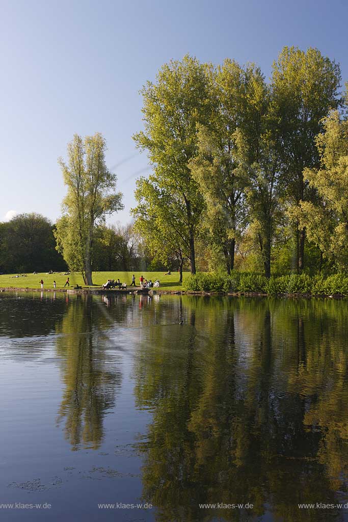 Bonn, Freizeitpark Rheinaue, Auensee mit Speigelbild; Amusemtpark Rheinaue, lake Auensee with image mirror 
