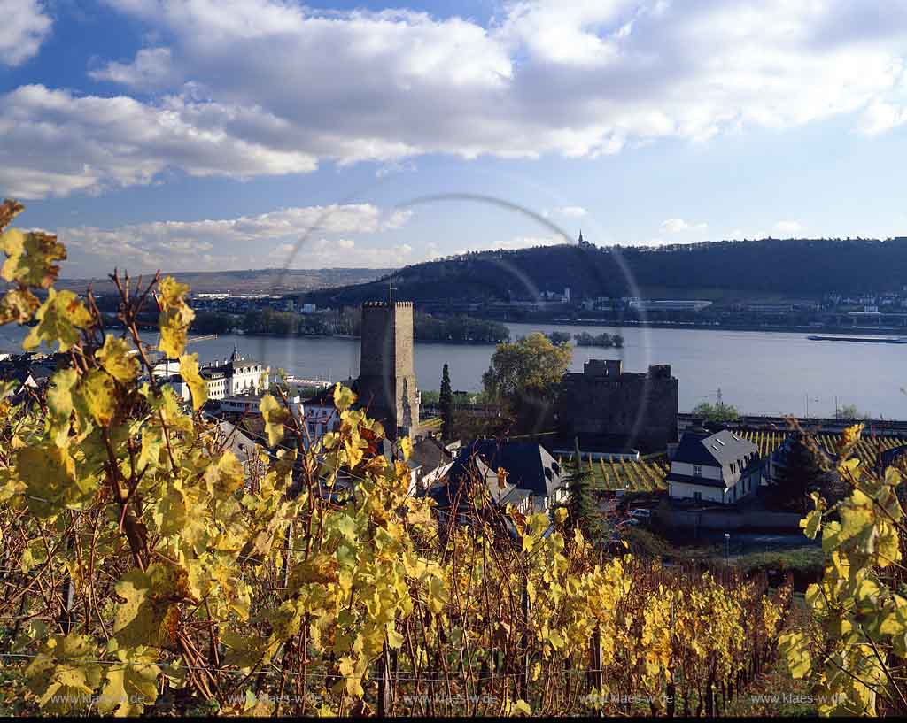 Rdesheim, Ruedesheim am Rhein, Rheingau-Taunus-Kreis, Mittelrhein, Blick ber, ueber Weinreben auf Broemser, Brmser Burg, Rhein und Ort
