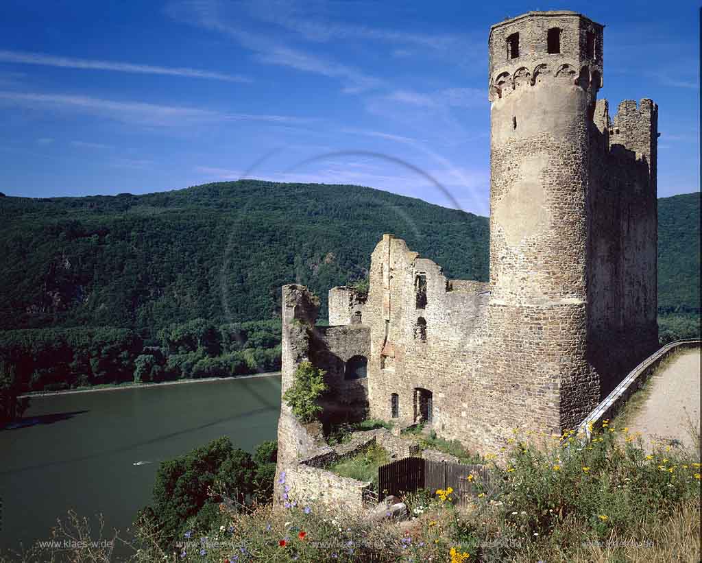 Rdesheim, Ruedesheim am Rhein, Rheingau-Taunus-Kreis, Mittelrhein, Blick auf Burg, Burgruine Ehrenfels mit Sicht auf Rhein und Landschaft im Sommer