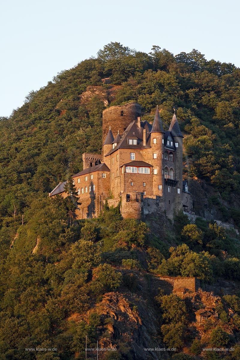 St. Goarshausen, Burg Katz im Abendlicht.Die Burg Katz ist eine rechtsrheinische Hangburg.  Eigentlich trug die Burg den Namen Burg Neukatzenelnbogen, der Volksmund hat diesen auf Burg Katz verkrzt; St. Goarshausen, castle Katz at sunset light.