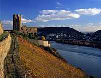 Rdesheim, Ruedesheim am Rhein, Rheingau-Taunus-Kreis, Mittelrhein, Blick auf Burg, Burgruine Ehrenfels, Rhein und Ort im Herbst
