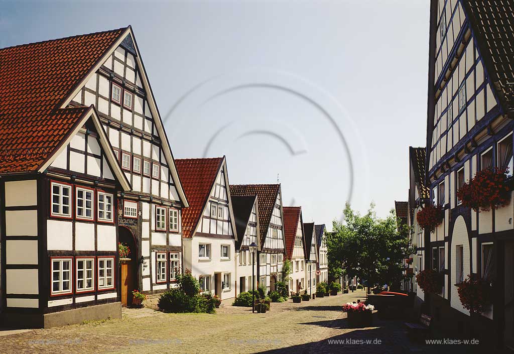 Blomberg, Kreis Lippe, Regierungsbezirk Detmold, Ostwestfalen, Blick auf Historische Altstadt mit Fachwerkhaeusern, Fachwerkhusern   