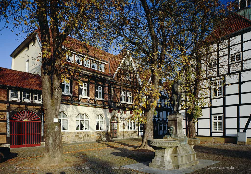 Rheda-Wiedenbrck, Rheda-Wiedenbrueck, Kreis Gtersloh, Kreis Guetersloh, Ostwestfalen, Blick auf Markt, Marktplatz mit Brunnen und Fachwerkhaeusern, Fachwerkhusern in Herbststimmung