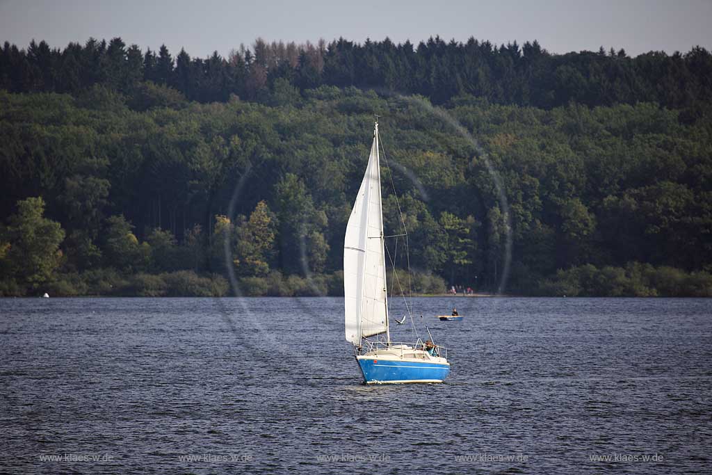 Moehnesee, Mhnesee, Kreis Soest, Blick auf Segelboot und Landschaft, Sauerland