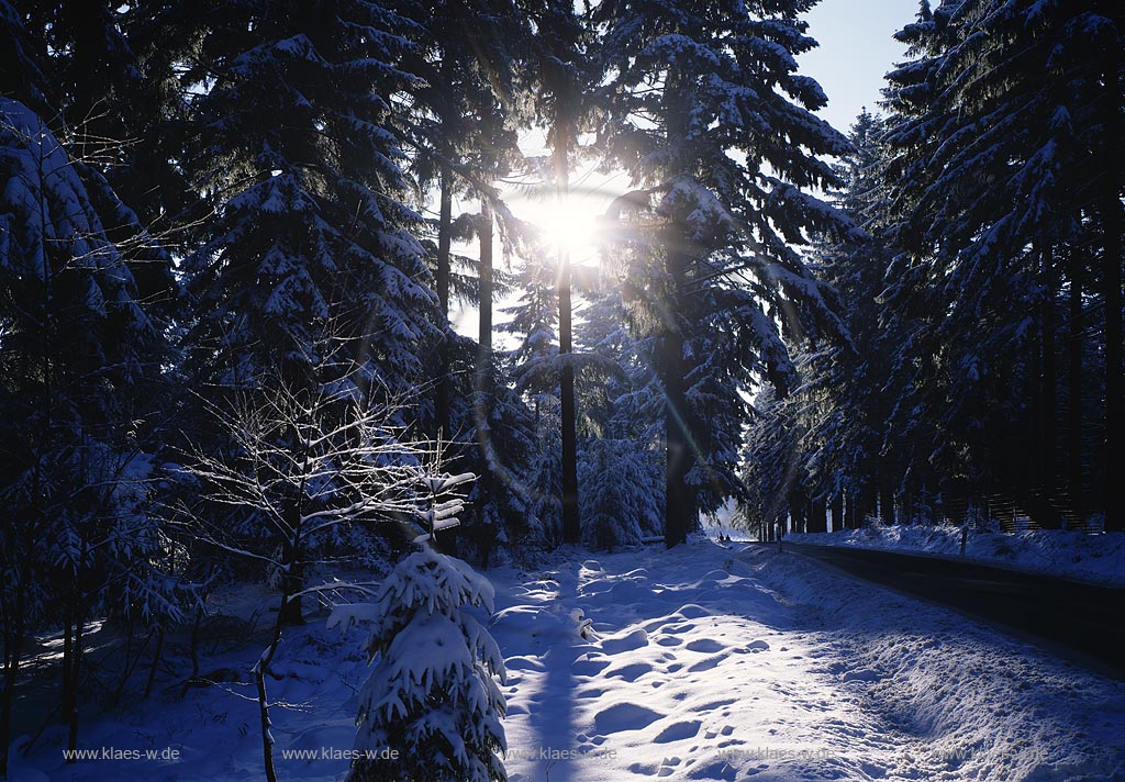 Eisenstrasse, Kreis Siegen-Wittgenstein, Siegerland, Blick in Auerhahnwald im Winter