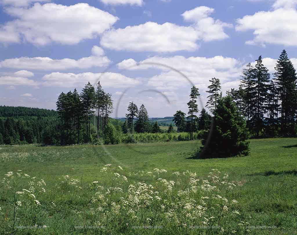 Fuchskaute, Rheinisches Schiefergebirge, Westerwald, Mittelgebirge, Blick auf Sommerlandschaft