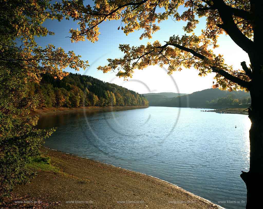 Aggertalsperre, Gummersbach, Bergneustadt, Meinerzhagen, Oberbergisches Land, Blick auf Aggertalsperre im Frh, Frueh Herbst