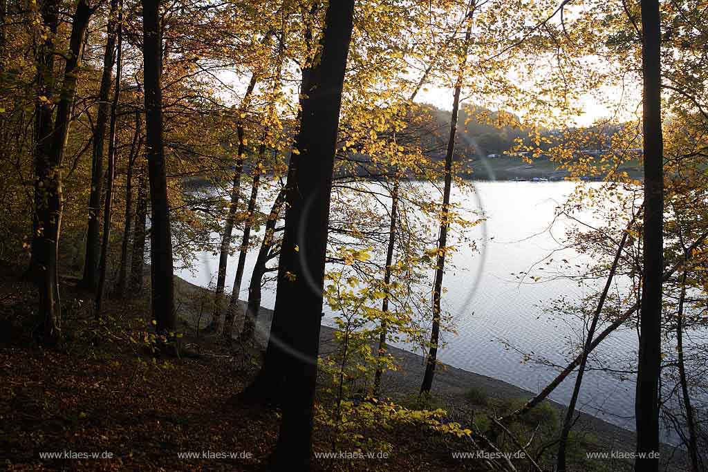 Aggertalsperre, Oberbergischer Kreis, Bergisches Land, Gummersbach, Bergneustadt, Meinerzhagen, Blick auf Aggertalsperre und Landschaft in Herbststimmung