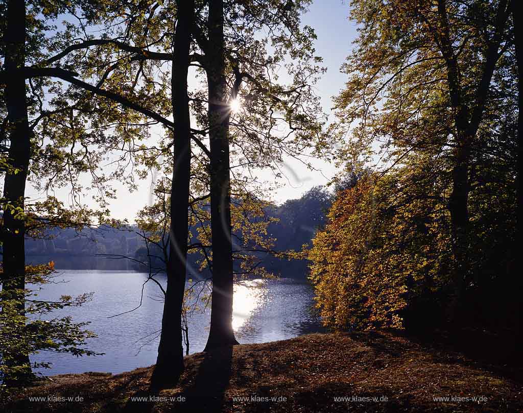 Bensberg, Bergisch Gladbach, Rheinisch-Bergischer Kreis, Blick auf Saaler Mhle, Muehle, Saaler See in Herbstlandschaft