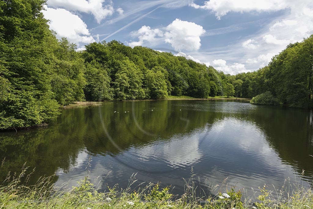 Wipperfuerth Grosshoehfeld, Blick auf die Bever-Talsperre mit Wolkenspiegelung; Wipperfuerth Grosshoehfeld, view to the barrage Bever-Talsperre with mirroring of clouds.