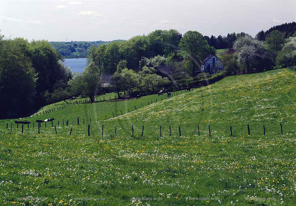 Hckeswagen, Hueckeswagen, Radevormwald, Bergisches Land, Oberbergischer Kreis, Blick auf Bever, Bevertalsperre mit Frhlingslandschaft, Fruehlingslandschaft 