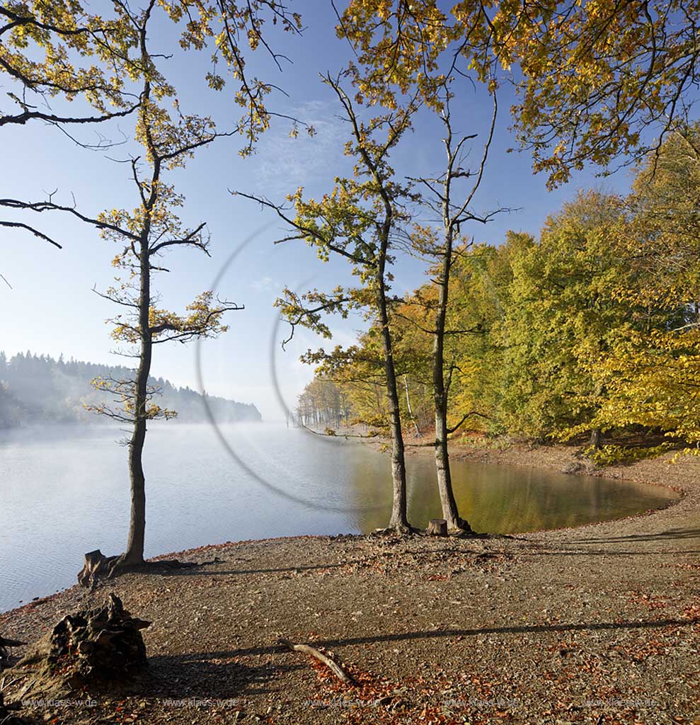 Bevertalsperre, Wipperfuerth Grosshoehfeld Blick auf Talsperre und Landschaft  in Morgenstimmung mit Dunst bzw. Nebelschwaden; Beverbarrage, Wipperfuerth Grosshoehfeld view at barrage and landscape in atmospheric moring light with waft of mist