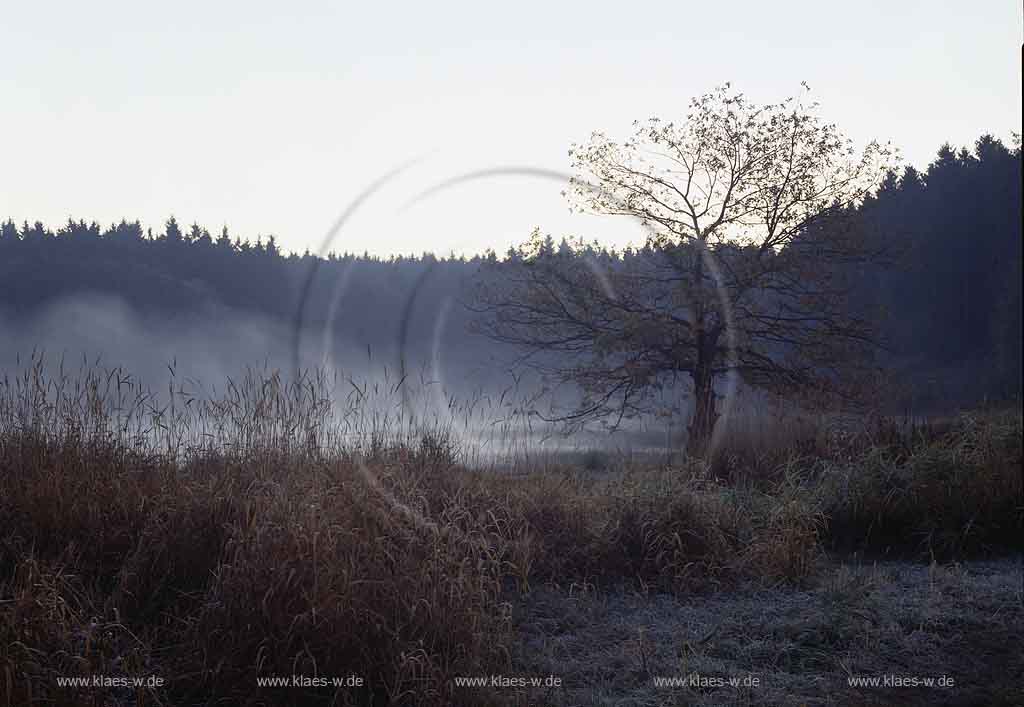 Brucher Talsperre, Marienheide, Oberbergischer Kreis, Bergisches Land, Blick auf Talsperre und Landschaft am Morgen mit Frhnebel, Fruehnebel im Herbst und Raureif