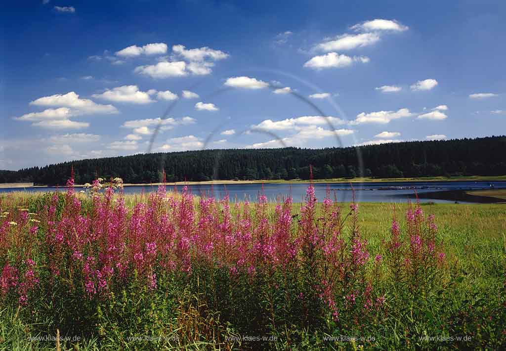 Brucher Talsperre, Marienheide, Oberbergischer Kreis, Bergisches Land, Blick auf Talsperre und Sommerlandschaft