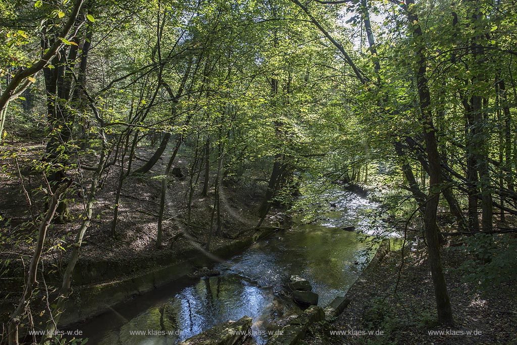 Burscheid, unteres Eifgental, Jakobsweg, Eifgenbach an der ehemaligen Burscheider Talsperre.