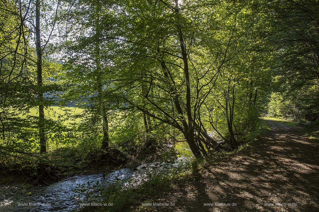 Burscheid, unteres Eifgental, Jakobsweg am Eifgenbach