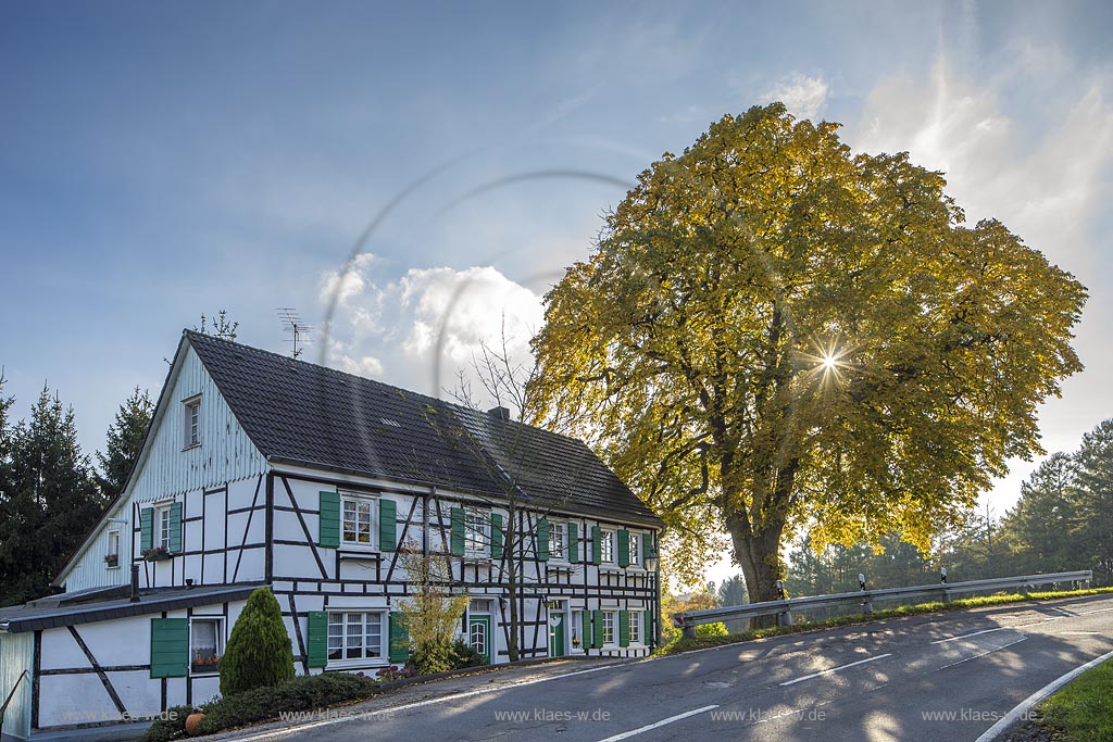 Burscheid-Herkensiefen, Fachwerk-Doppelhaus mit Naturdenkmal Rosskastanie.