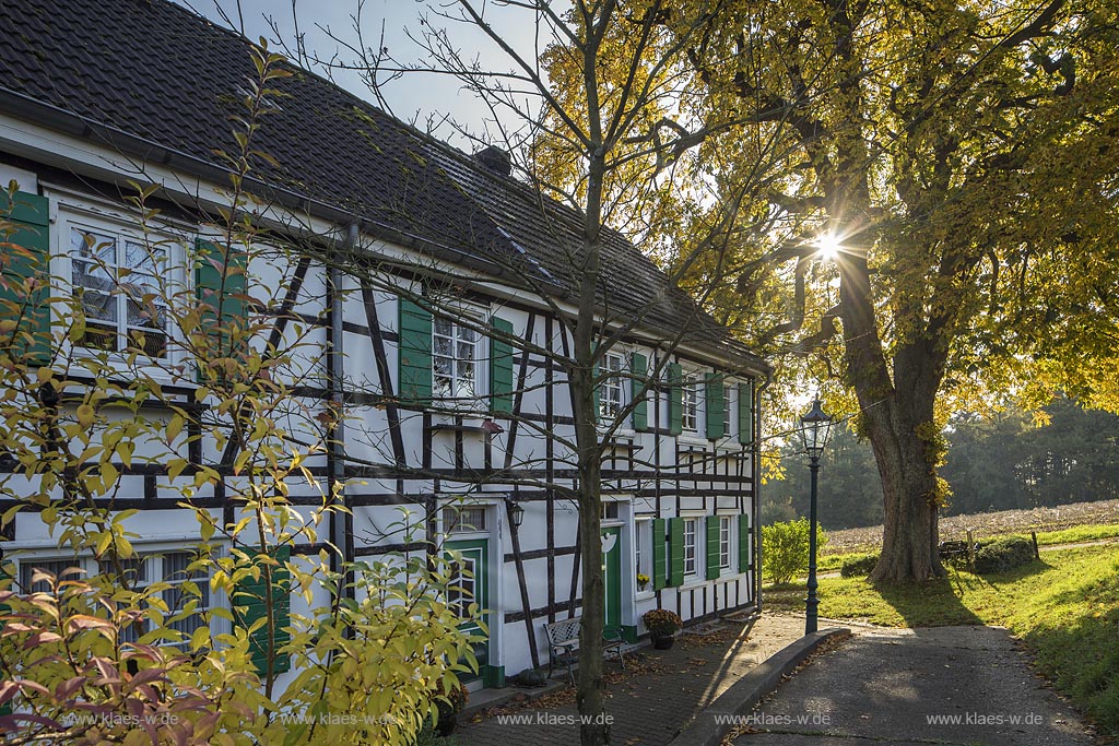 Burscheid-Herkensiefen, Fachwerk-Doppelhaus mit Naturdenkmal Rosskastanie.