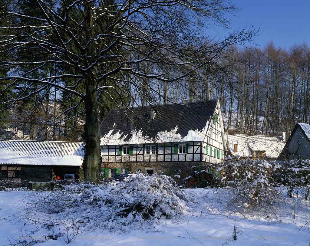 Burscheid, Rheinisch-Bergischer Kreis, Blick auf Lambertsmhle, Lambertsmuehle in Schneelandschaft