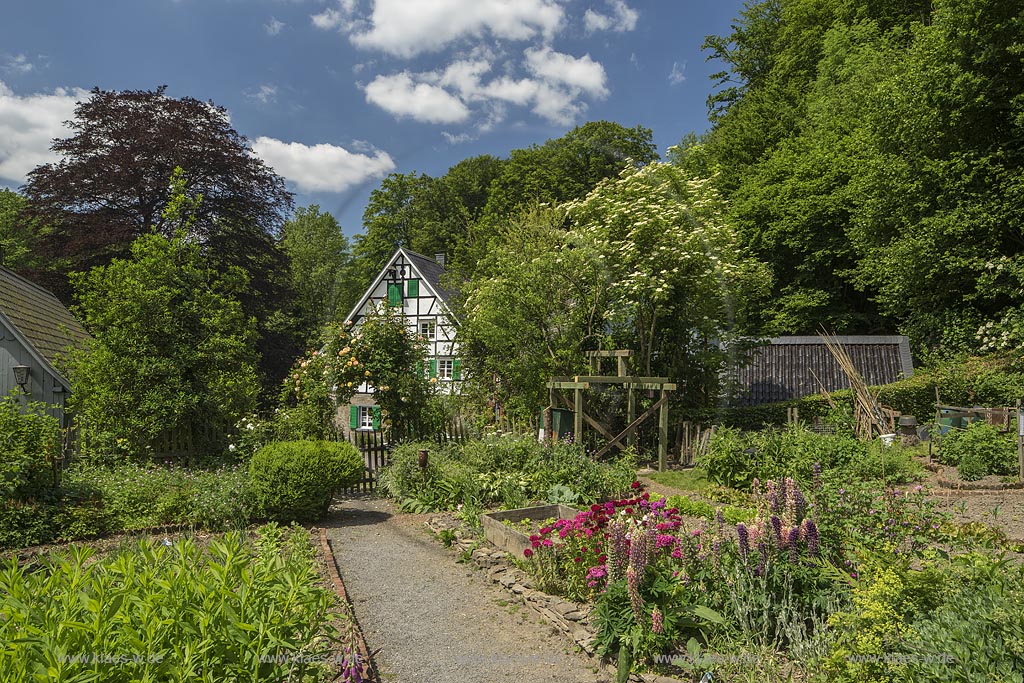 Burscheid-Lambertsmuehle, Blick vom Bauerngarten zur Lambertsmuehle; Burscheid-Lambertsmuehle, view over the cottage garden to the mill Lambertsmuehle.  