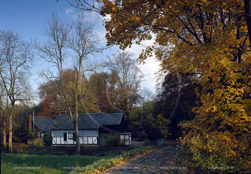 Bickenbach, Engelskirchen, Oberbergischer Kreis, Bergisches Land, Blick auf Oelchens, lchens Hammer in Herbstlandschaft