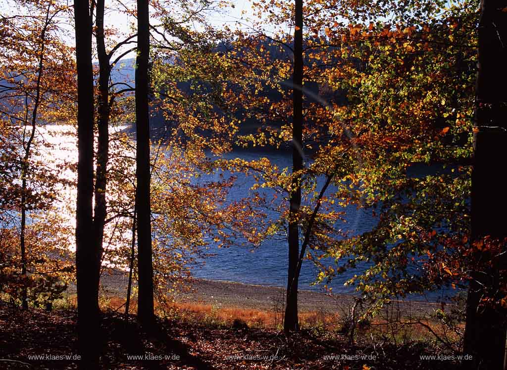 Genkeltalsperre, Meinerzhagen, Gummersbach, Mrkischer Kreis, Maerkischer Kreis, Oberbergischer Kreis, Bergisches Land, Blick auf Talsperre und Landschaft in Herbststimmung   