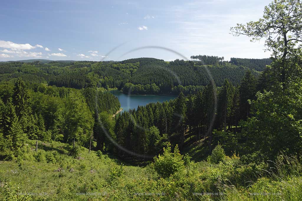 Genketalsperre umgben von Waeldern, Blick vom Unnenberg ueber Sommerlandschaft mit Baeumen Laubwald und Fichtenwald, die Genkeltalsperre eingebettet in die Berglandschaft, im Hintergrund das maerkische Sauerland; Genkel dam with summer landscape and forest