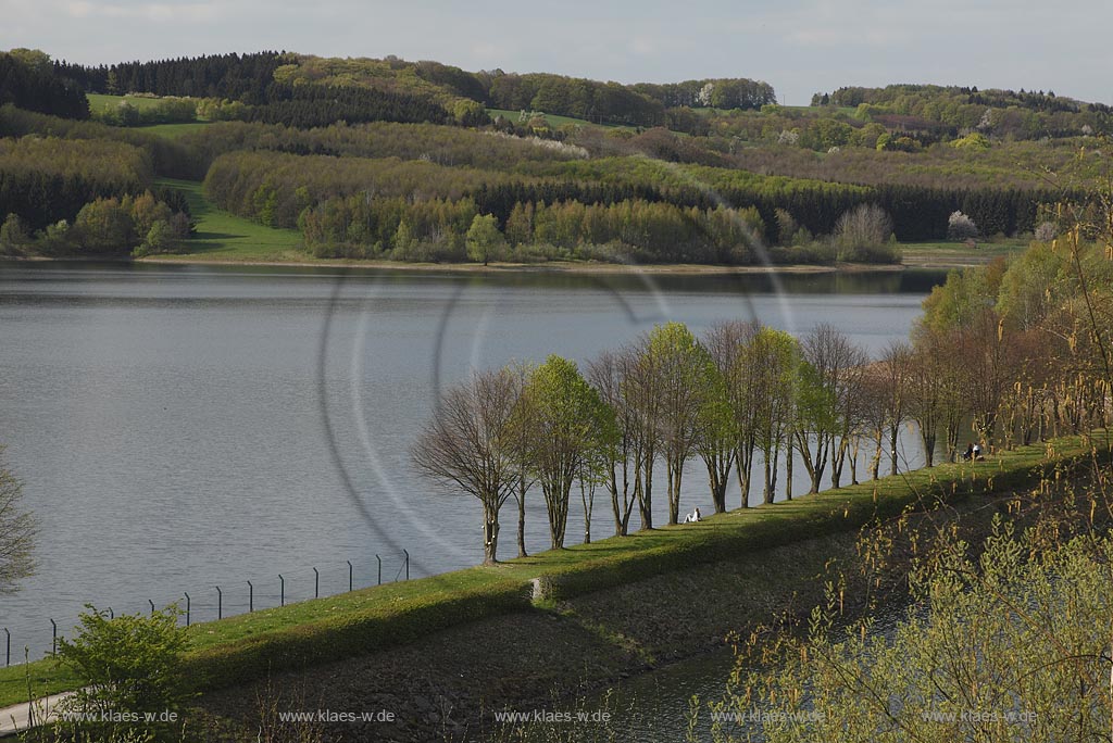 Grosse Dhuenntalsperre, Oberbergischer Kreis, Bergisches Land, Nordrhein-Westfalen, Deutschland