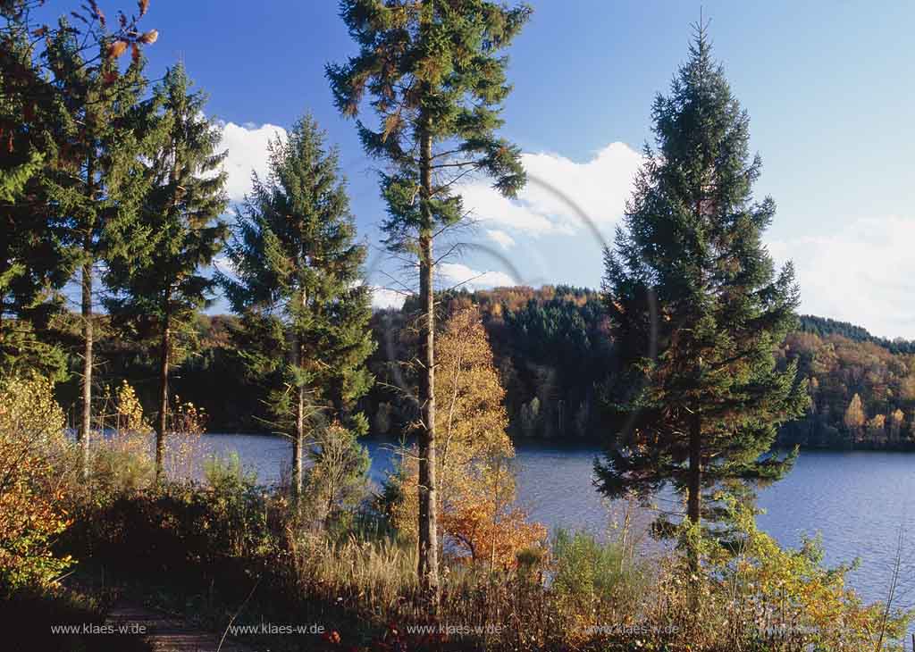 Grosse Dhnntalsperre, Dhuenntalsperre, Dhuenn, Wermelskirchen, Bergisches Land, Rheinisch-Bergischer Kreis, Blick auf Trinkwassertalsperre und Landschaft in Herbststimmung