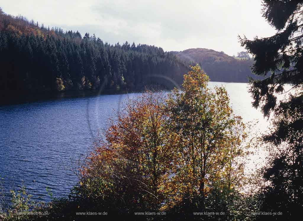 Grosse Dhnntalsperre, Dhuenntalsperre, Dhuenn, Wermelskirchen, Bergisches Land, Rheinisch-Bergischer Kreis, Blick auf Trinkwassertalsperre und Landschaft in Herbststimmung