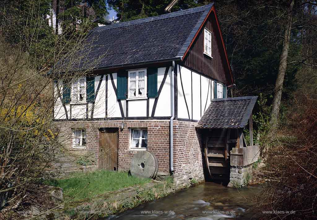 Rose, Gummersbach, Oberbergischer Kreis, Bergisches Land, Blick auf Rosper Mhle, Muehle