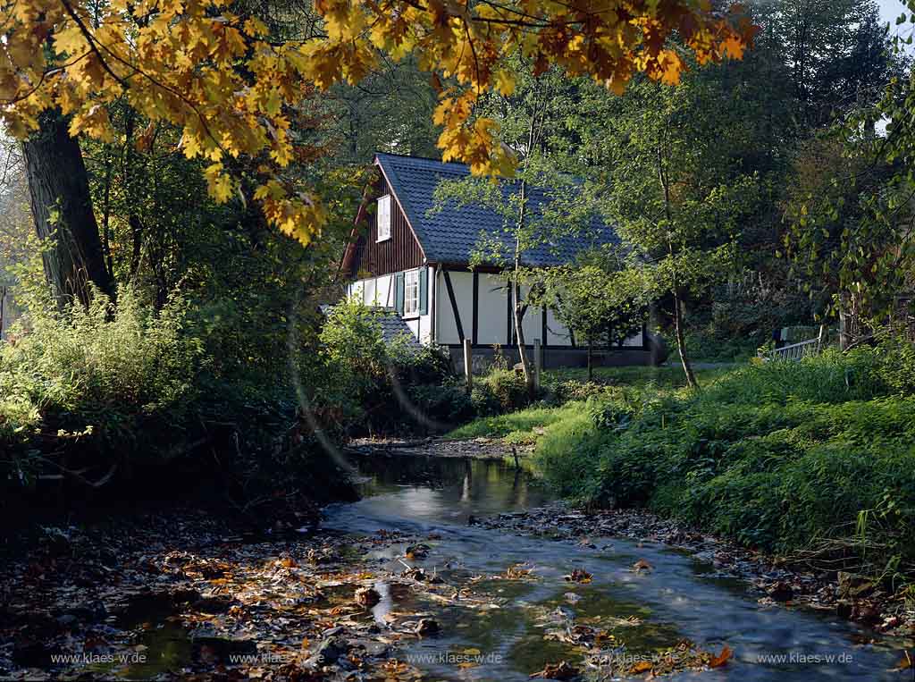 Rospe, Gummersbach, Oberbergischer Kreis, Bergisches Land, Blick auf Rosper Muehle, Mhle mit Bachlauf im Frhherbst, Fruehherbst