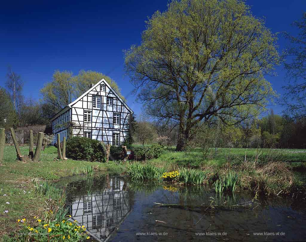 Haan, Kreis Mettmann, Blick auf Brucher Kotten im Frhling, Fruehling, mit Teich und Landschaft