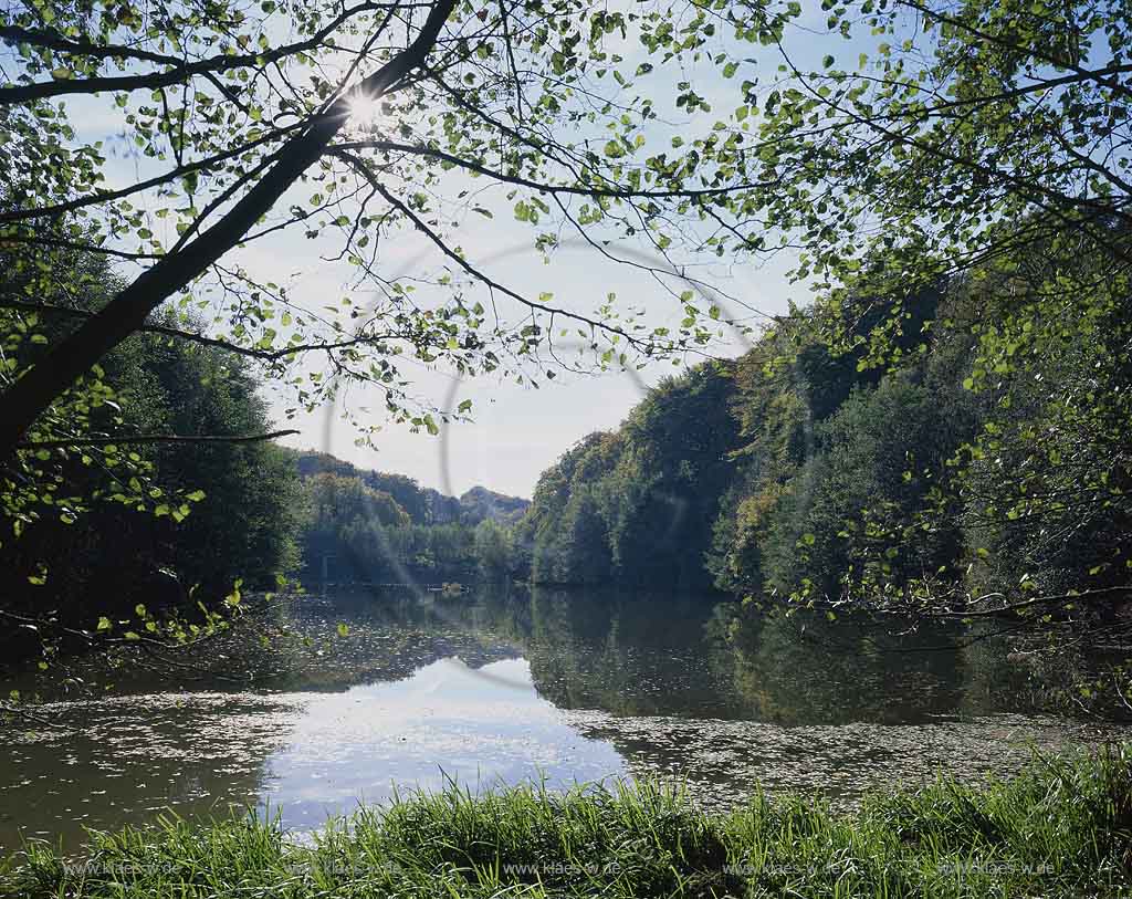 Ittertal, Haan, Kreis Mettmann, Blick auf Stausee und Wald im Ittertal 