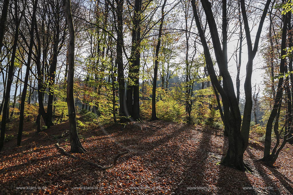 Hueckeswagen, Herbststimmung am Bilstein; Hueckeswagen atumn atmosphere at Bilstein