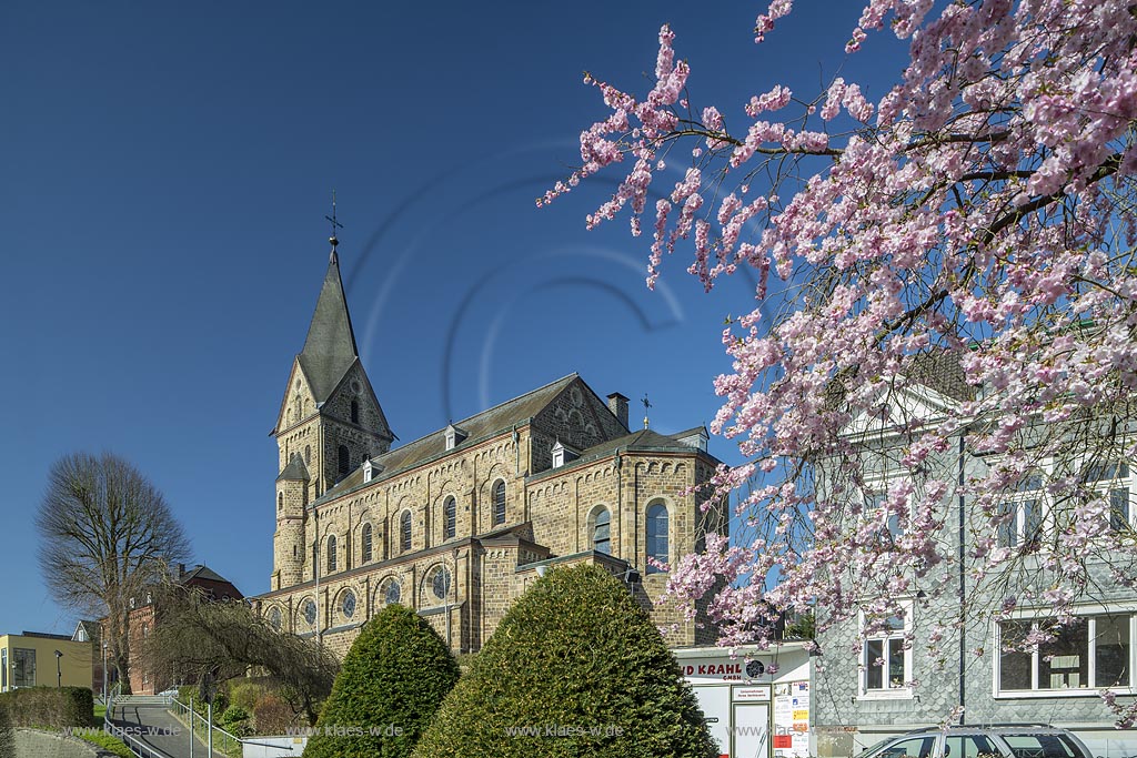 Hueckeswagen, St. Mariae Himmelfahrt, Katholische Kirche im Fruegling zur Kirschbluete; Huekeswagen Catholic church St. Mariae during springtime with cherry blossom.