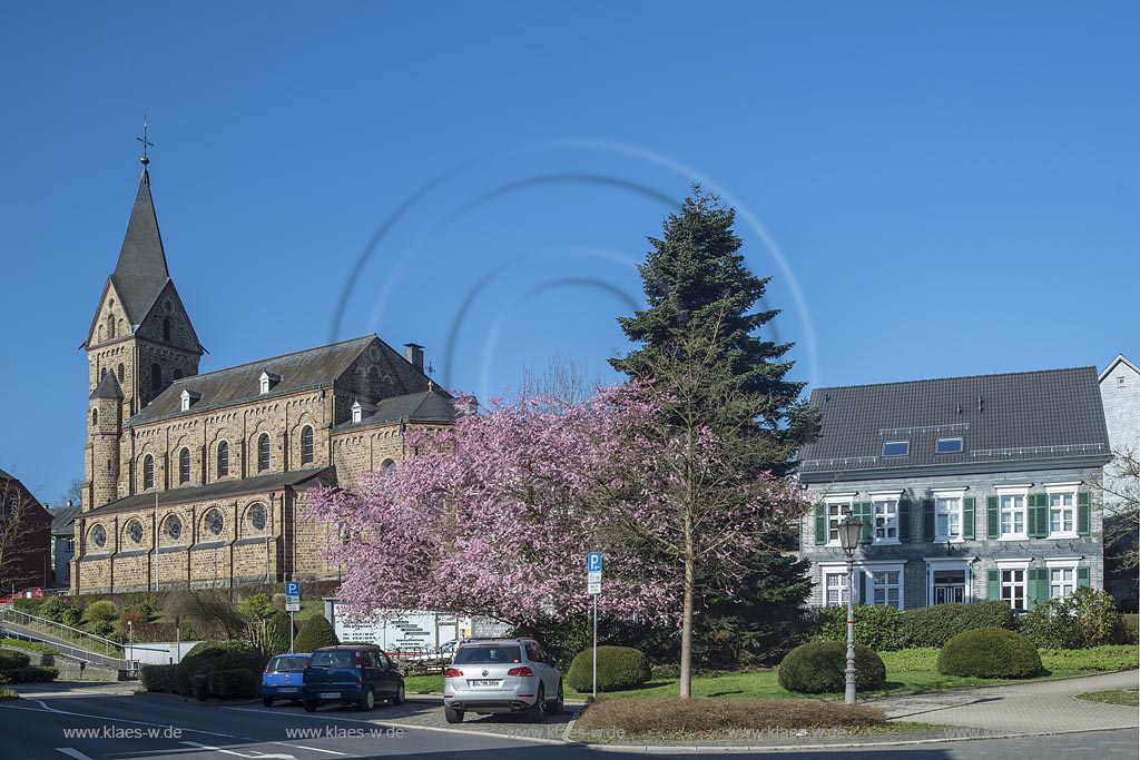 Hueckeswagen, St. Mariae Himmelfahrt, Katholische Kirche im Fruegling zur Kirschbluete; Huekeswagen Catholic church St. Mariae during springtime with cherry blossom.