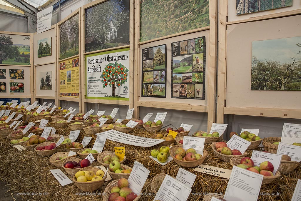 Leichlingen, Obstmarkt in der Balker Aue, Ausstellung und Verkauf in der Reithalle.