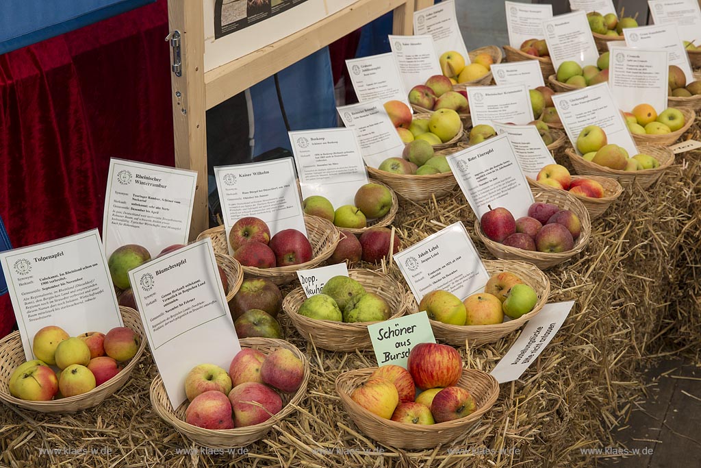 Leichlingen, Obstmarkt in der Balker Aue, Ausstellung und Verkauf in der Reithalle.