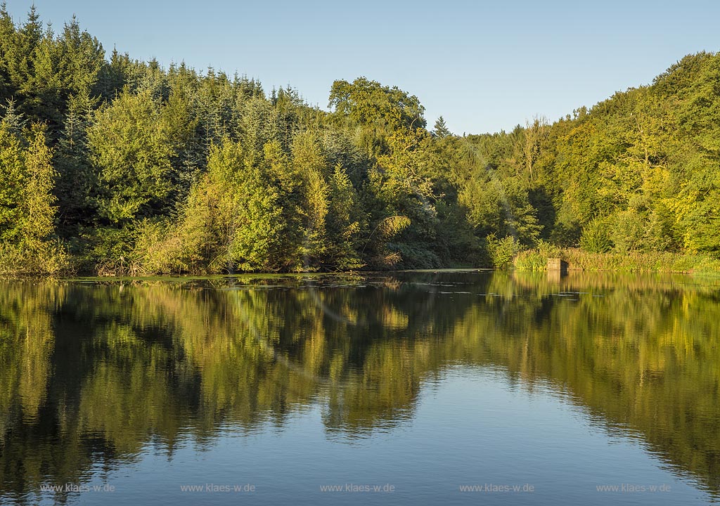 Leichlingen-Wersbach, Stauteich im Abendlicht mit Wasservoeglen wie Graureihern in den Baeumen und Aesten des gegenueberliegnende Ufers.