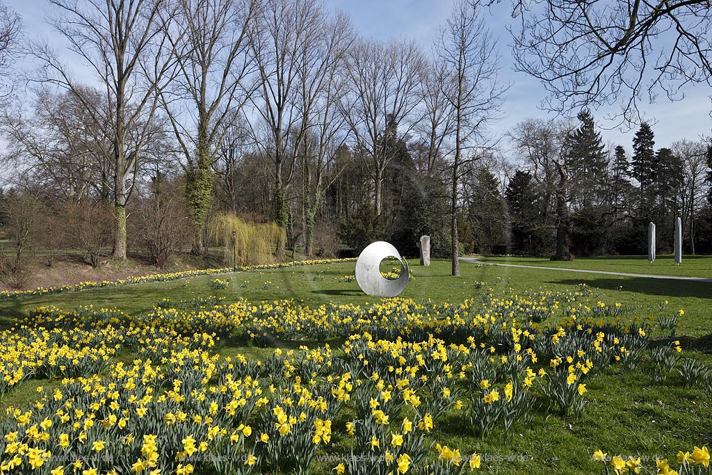 Leverkusen Alkenrath Schlosspark Schloss Morsbroich mit Skulpturen im Fruehling, bluehende Gelbe Narzissen; Leverkusen Alkenrath park of castle Morsbroich with sculptures and yellow narcissus in flower