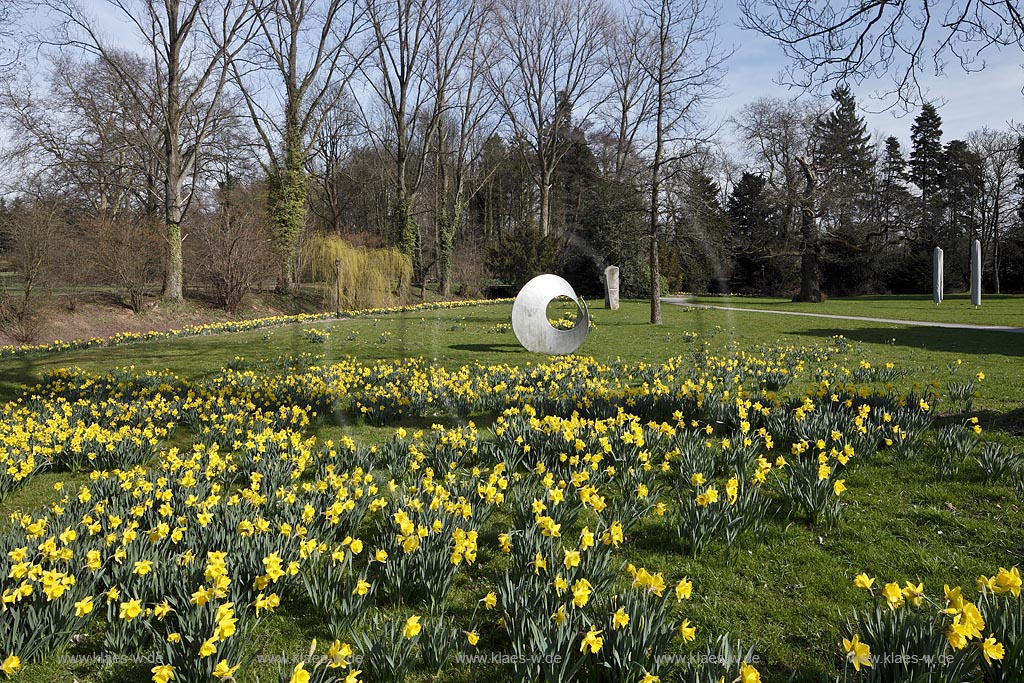 Leverkusen Alkenrath Schlosspark Schloss Morsbroich mit Skulpturen im Fruehling, bluehende Gelbe Narzissen; Leverkusen Alkenrath park of castle Morsbroich with sculptures and yellow narcissus in flower