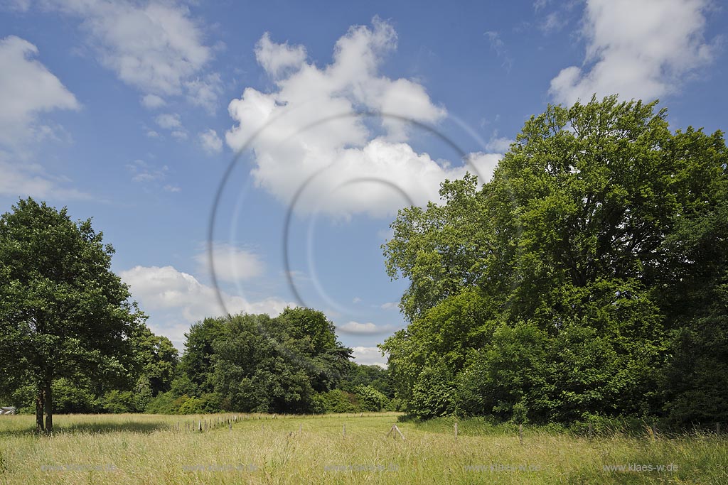 Leverkusen Alkenrath, Schloss Morsbroich, Schlosspark, Landshaft mit Baeumen und Wolken: Leverkusen Alkentath, park of castle Morsbroich;