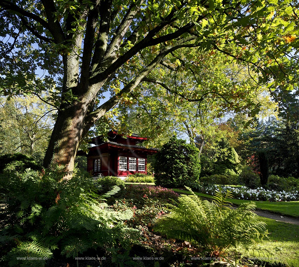 Leverkusen Japanischer Garten mit Teehaus im Herbst; Japanese garden in Leverkusen with teahouse in autumn