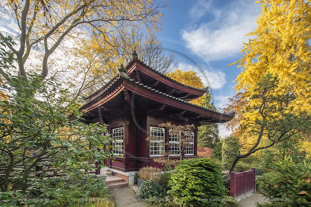 Leverkusen, Japanischer Garten mit dem Teehaus im Bayer Chempark bei Leverkusen-Wiesdorf.